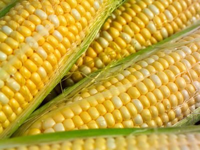 a closeup of corn on the cob